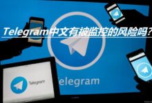 Telegram隐私大揭秘：聊天记录到底会不会被监控？