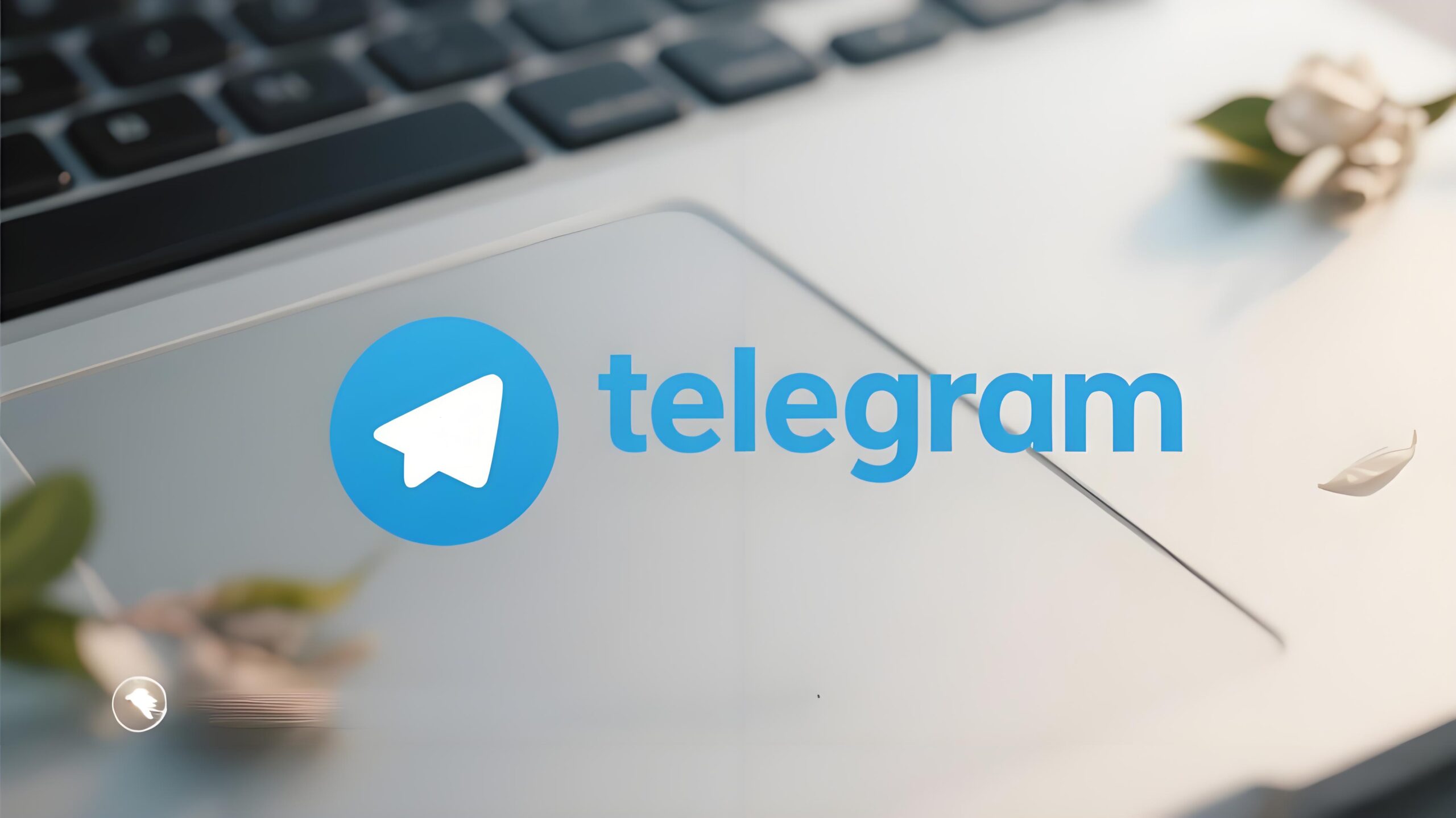 Telegram 新功能体验攻略：如何快速获取新版功能与隐藏玩法？
